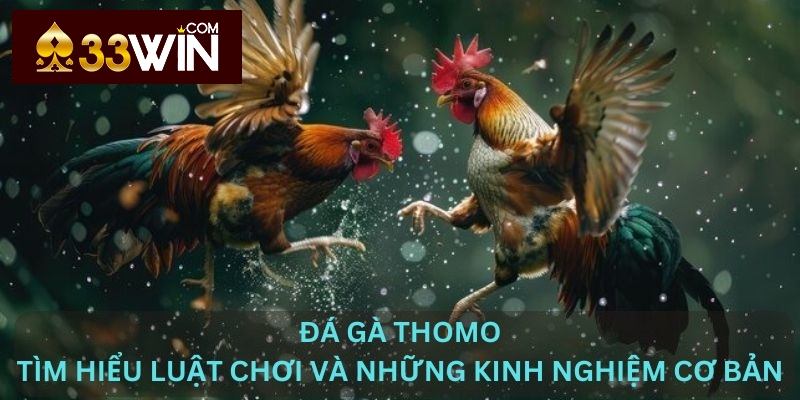 Đá gà Thomo